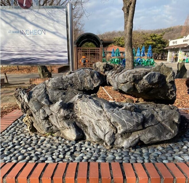 인천대공원 앞 조경석에서 채취한 시료에서 석면이 검출됐다. 인천환경운동연합 제공