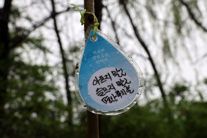 ‘환경피해자를 위한 나무 심기 행사’에서 심어진 들메나무에 환경피해자들에게 전하는 편지가 적힌 물방울모양 종이가 빗방울이 맺힌 채 걸려있다. 김혜윤 기자
