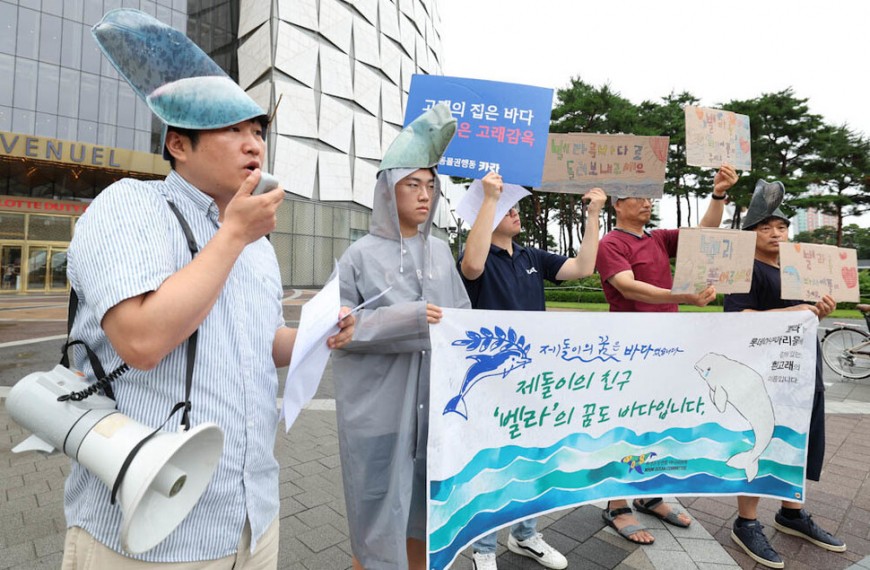 환경단체 활동가들이 18일 오후 서울 잠실 롯데월드타워 앞에서 기자회견을 열어 전국 5개 수족관에 있는 고래 21마리를 바다로 돌려보낼 것을 촉구하고 있다. 김정효 기자
