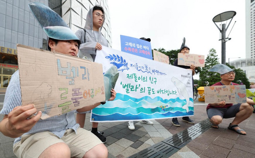 환경단체 활동가들이 전국 5개 수족관에 있는 고래 21마리를 바다로 돌려보낼 것을 촉구하고 있다. 김정효 기자