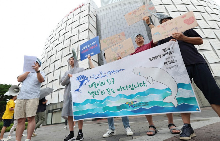 환경단체 활동가들이 전국 5개 수족관에 있는 고래 21마리를 바다로 돌려보낼 것을 촉구하고 있다. 김정효 기자