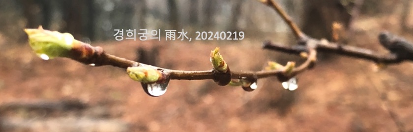 09ab757fabde3fbe10bfec27037b5083_1708414092_8359.jpg